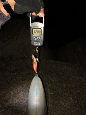 狙い撃ったアオリイカ!きんもちいぃぃ^ ^