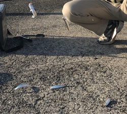 豆アジ大爆釣‼️