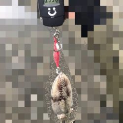 キモチワルイ笑