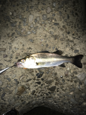 雨上がりアゲアゲ