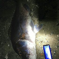 門前河口にある漁港