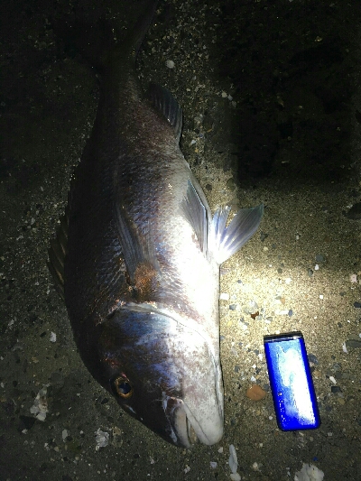 門前河口にある漁港