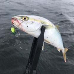 どこまでやってもツバス