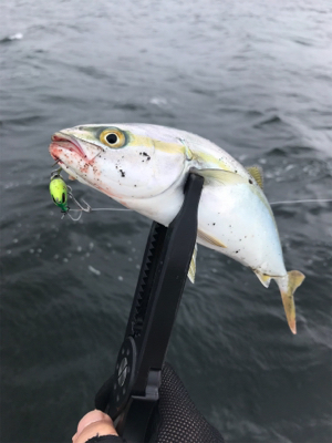 どこまでやってもツバス