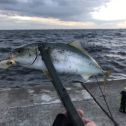 爆風の朝ケーソン