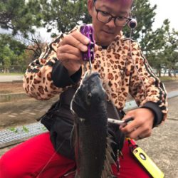 初、目印の落とし込み釣り