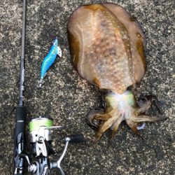 きっちり合わせたりました(^^)