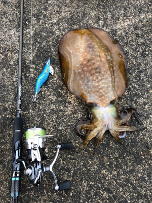 きっちり合わせたりました(^^)