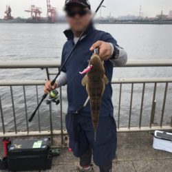 マゴチ入れ食い