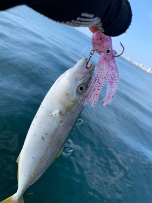 わがままなツバス