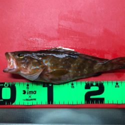 あたり少なく苦戦