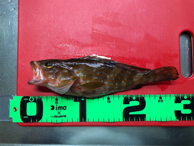 あたり少なく苦戦