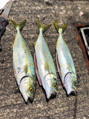 ツバスツバスツバス