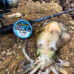 鷹島サーフエギング