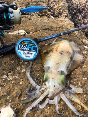 鷹島サーフエギング