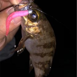 ウィンドウドリフト!