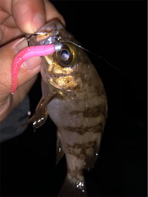 ウィンドウドリフト!