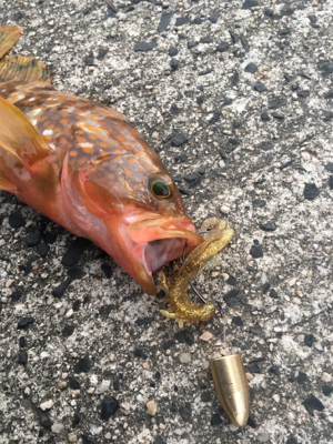 ロックフィッシュゲーム