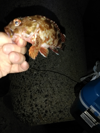 やっちまったな