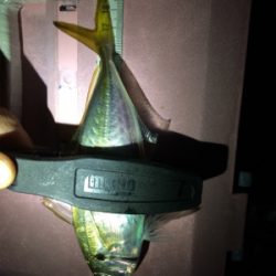 爆風ライトゲーム