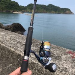 キスのチョイ投げ