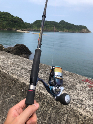 キスのチョイ投げ