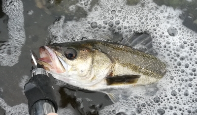 ソルトルアーマン1800〜2145