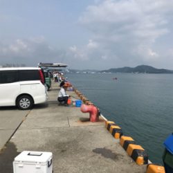 赤石東埠頭で、アジ200匹とツバス3匹