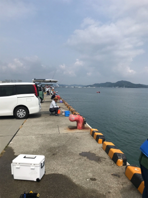 赤石東埠頭で、アジ200匹とツバス3匹