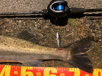 いつもの場所にて