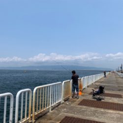 ジグサビキでツバス