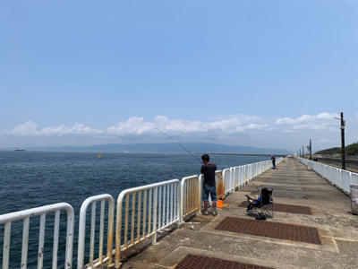 ジグサビキでツバス