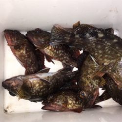 ワームでガシラ