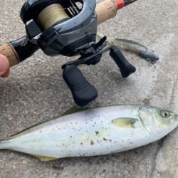 ツバスおっきくなってきた♫