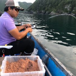 つりぴぃぽぉ釣果
