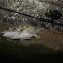 仕事終わりチニング