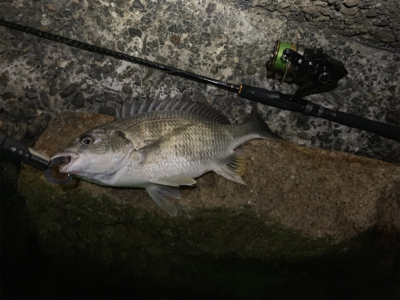 仕事終わりチニング