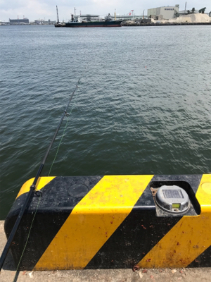 ノマセ釣りでツバス釣りました