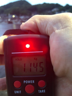 初キロオーバー