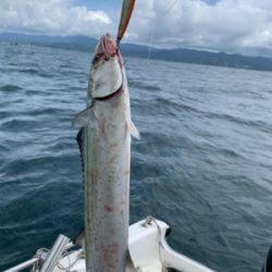 マイボートでイカ調査&キャスティングゲーム