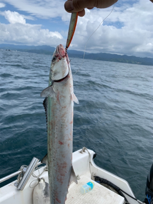 マイボートでイカ調査&キャスティングゲーム