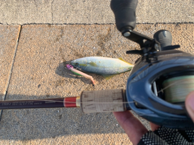 相変わらずな僕。