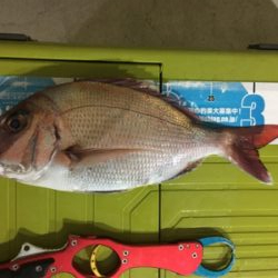 マイボートで丹後タイラバ釣行