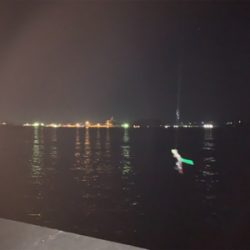 令和初タチウオ