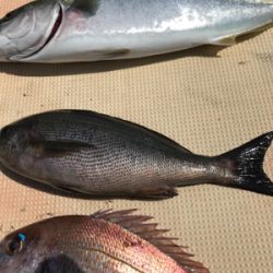 スーパーライトジギング