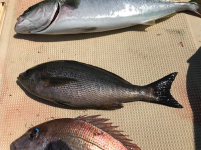 スーパーライトジギング