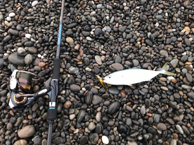 七里御浜ショアジギング