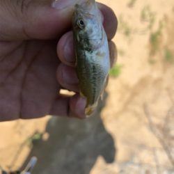 赤ちゃんだらけ