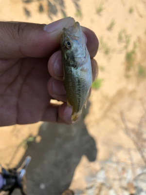 赤ちゃんだらけ