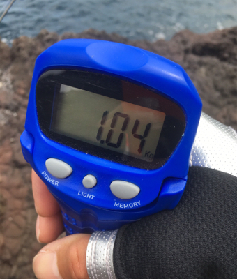 春烏賊これから☆GUNNING-STYLE